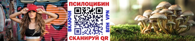 Псилоцибиновые грибы GOLDEN TEACHER что такое наркотик Междуреченск