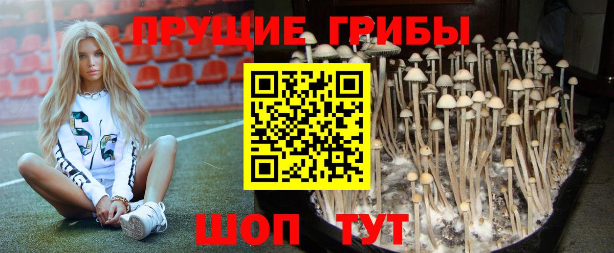 Междуреченск  Псилоцибиновые грибы мухоморы  Вход с VPN  Псилоцибиновые грибы Magic Shrooms 